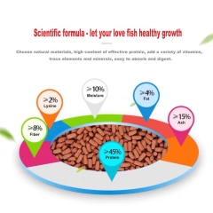 Thức Ăn Cá Rồng PORPOISE - Giúp cá Mau lớn và Phát triển toàn diện