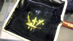 Vợt vớt cá, múc được luôn nước tránh sốc và ránh vây cá