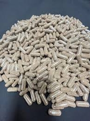 Artemia nước ngọt - viên con nhộng, dễ dàng ấp nở và nuôi sinh khối