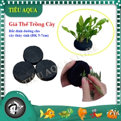 Giá Thể Trồng Cây Thủy Sinh Cắt Cắm - Dễ Sử Dụng và Tiện Lợi