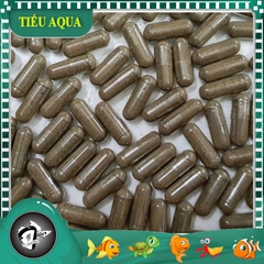 Artemia nước ngọt - viên con nhộng, dễ dàng ấp nở và nuôi sinh khối