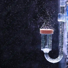 Cốc Sủi CO2 EBI-VN, Cốc Sủi Siêu Mịn dạng Gốm và Acrylic Cho Hồ Cá Thủy Sinh