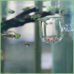 Cốc Trồng cây Thủy Sinh mini - Cốc Đựng trùng chỉ cho cá ăn