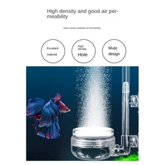 Cốc Sủi Oxy Tròn 4cm Siêu Mịn | Kiểu dáng đẹp trang trí hồ cá thêm lung linh