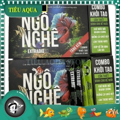 Combo Ngô Nghê giải đáp những thắc mắc cho người mới chơi cá cả và thủy sinh (tặng kèm 4 gói quà tặng)