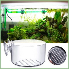 Cốc Trồng cây Thủy Sinh mini - Cốc Đựng trùng chỉ cho cá ăn