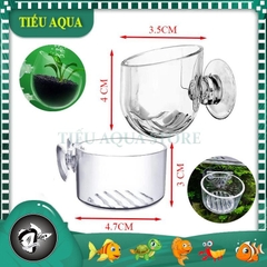 Cốc Trồng cây Thủy Sinh mini - Cốc Đựng trùng chỉ cho cá ăn