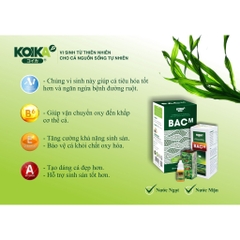 Men Vi Sinh KOIKA BAC M - Tăng Cường Đề Kháng, Bổ Sung Vitamin và Vi Sinh Đường Ruột cho Cá Cảnh