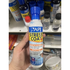 API STRESS COAT+ , Thần Dược cho cá cảnh. Giảm stress và khử kim loại nặng, phục hồi vết thương