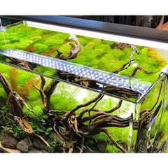 Đèn Led Cao Cấp ODYSSEA SLIM X - Ánh Sáng 10000k Có Tăng Giảm Ánh Sáng Cho Hồ Thủy Sinh, Hồ Cá Cảnh