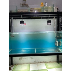 Đèn Led Rọi Siêu Sáng KAOKUI F06 - Kiểu Dáng Sang Trọng Cho Hồ Cá Thủy Sinh, Hồ Biotop, Hồ Bán Cạn