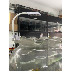 Đèn Led Kẹp Mini Kaokui KK-JY25 | Chế Độ Ánh Sáng Dùng được cho Bể Tròn, Hồ Bèo, Hồ Trụ