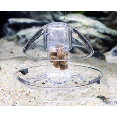 Dụng Cụ Bẫy Ốc Hại Trong Hồ Thủy Sinh, Hồ Cá Cảnh