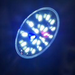 Đèn Led Kẹp Mini Kaokui KK-JY25 | Chế Độ Ánh Sáng Dùng được cho Bể Tròn, Hồ Bèo, Hồ Trụ