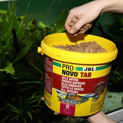 Cám Dán JBL NOVOTAB PRO Hủ Nhỏ - Thức Ăn Dán Hồ Kính Cao Cấp Cho Hồ Thủy Sinh, Bể Cá Cảnh