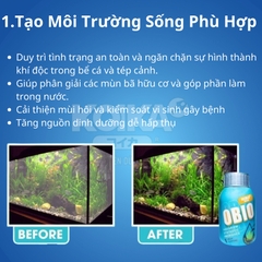 Men Vi Sinh Koika OBIO - Vi Sinh Cao Cấp Dành Cho Cá Cảnh