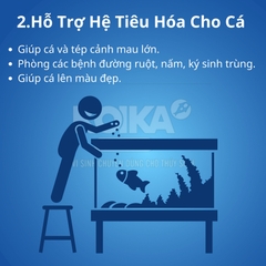 Men Vi Sinh Koika OBIO - Vi Sinh Cao Cấp Dành Cho Cá Cảnh