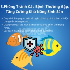 Men Vi Sinh Koika OBIO - Vi Sinh Cao Cấp Dành Cho Cá Cảnh