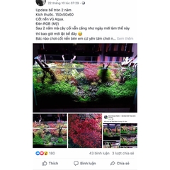 Cốt Nền Vũ Aqua - Cung Cấp Dinh Dưỡng cho Cây Thủy Sinh - Độ Bền Cao