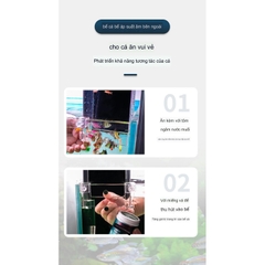 Box Úp Ngược Hồ Cá - Box Chất Liệu Acrylic Siêu Trong Trang Trí Bể Cá Cảnh