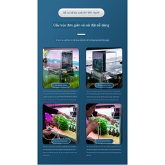 Box Úp Ngược Hồ Cá - Box Chất Liệu Acrylic Siêu Trong Trang Trí Bể Cá Cảnh