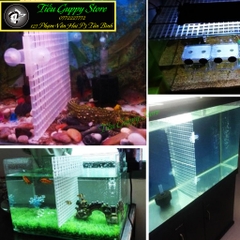 Tấm Nhựa Đa Năng 30x30cm có thể nối lại, dùng để Ngăn Hồ Kính, Đậy Hồ, Ngăn Đáy, Nâng nền ....