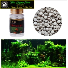 1 Viên Vi Sinh EM Làm Trong Nước Hồ Cá