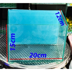 Hồ Cá Nền Xanh Biển Giá Rẻ Kích Thước 20x12x15cm - Thích hợp để bàn, nuôi cá cảnh nhỏ, betta, guppy