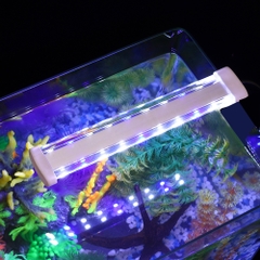 Đèn Led Thủy Tinh Kẹp Hồ Cá 1 Bên 3 chế độ màu - Thiết Kế Mỏng Đẹp và Sang Trọng