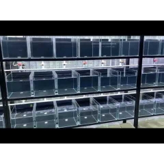 Van Xả Đáy Dàn Hồ In Out - Nấm Hút và Xả Đáy Hồ Cá, Khay Nhựa - Chất Liệu Nhựa PVC đường kính Phi 20mm