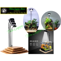 Đèn Đế Gỗ - Đèn Led kèm Đế Gỗ Ánh Sáng Trắng vàng chuyên dụng cho hồ thủy sinh, hồ bán cạn, bể cá tròn...