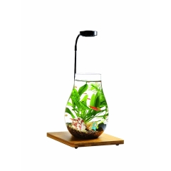 Đèn Đế Gỗ - Đèn Led kèm Đế Gỗ Ánh Sáng Trắng vàng chuyên dụng cho hồ thủy sinh, hồ bán cạn, bể cá tròn...