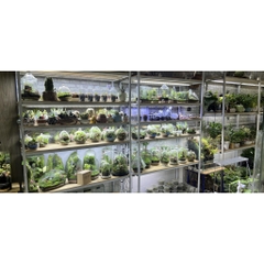 Đèn Đế Gỗ - Đèn Led kèm Đế Gỗ Ánh Sáng Trắng vàng chuyên dụng cho hồ thủy sinh, hồ bán cạn, bể cá tròn...