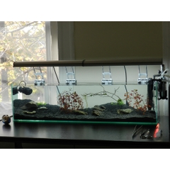 1kg Cát Thạch Anh Đen - Chuyên Dụng Lót Nền, Trang Trí Bể Cá