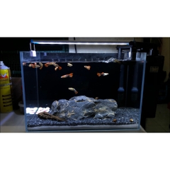 1kg Cát Thạch Anh Đen - Chuyên Dụng Lót Nền, Trang Trí Bể Cá