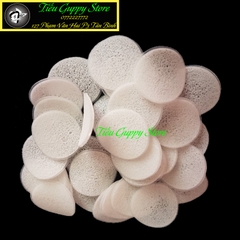 100gr Vật Liệu Lọc BIOCHIP - Nuôi giữ vi sinh cực tốt cho bể cá