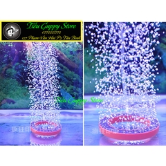 Vòng Tròn Sủi Oxi Hồ Cá - Kiểu dáng đẹp, nhiều kích thước lựa chọn