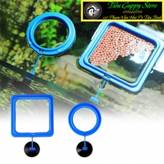 Vòng Cho Cá Ăn - Vòng Giữ Cám Nổi - Vòng Giữ Thức Ăn trong hồ cá