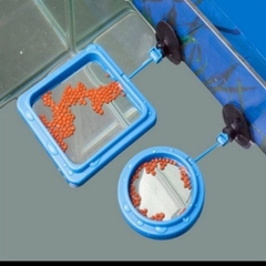 Vòng Cho Cá Ăn - Vòng Giữ Cám Nổi - Vòng Giữ Thức Ăn trong hồ cá