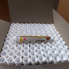 Phôi Artemia Ăn Liền - Thức Ăn Dinh Dưỡng dành cho cá cảnh nhỏ (ống 3gram)