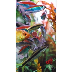 Thức Ăn Dán Kinh JBL NOVOTAB - Thực phẩm cao cấp cho Cá Cảnh, Cá Thủy Sinh đến từ Đức