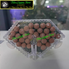 Lọc Góc Hồ Cá Jeneca AF3 - Kiểu Dáng Đẹp, Có sẵn vật liệu lọc và nhiều lớp bông lọc