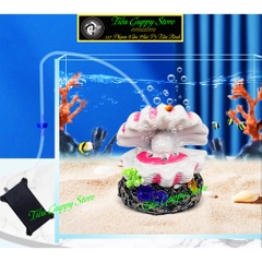 Mô Hình Vỏ Sò Trang Trí Bể Cá - Có Thể Kết Hợp Máy Bơm Để Sủi Oxy