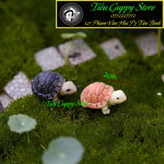 Rùa mini Tiểu Cảnh Trang Trí Hồ Cá, Bonsai, Terarirum ....