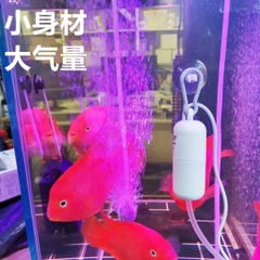 Sủi USB SOBO AR-02 - Kích thước nhỏ gọn dễ mang theo - tặng kèm dây sủi