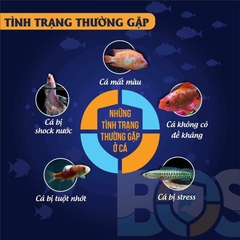 BOS Bio Shield - Xử lý nước mới, khử độc nước, dưỡng cá cảnh, giúp cá giảm stress, tăng đề kháng