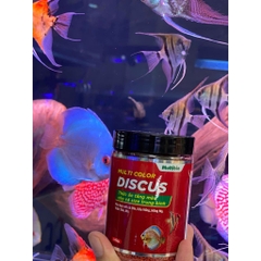 Cám Multibio Multi Color Discus - Thức Ăn Tăng Màu cho Cá Nhiệt Đới: Cá Dĩa, Ông Tiên, Cầu Vồng, Hồng Mi....