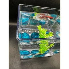 Keo Betta Trong Suốt 15x12x15cm - Keo Show Nhựa Chất Liệu Cao Cấp Tích Hợp nuôi cá Betta, Guppy, Cá Cảnh nhỏ, Tiểu Cảnh