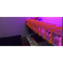 Keo Betta Trong Suốt 15x12x15cm - Keo Show Nhựa Chất Liệu Cao Cấp Tích Hợp nuôi cá Betta, Guppy, Cá Cảnh nhỏ, Tiểu Cảnh