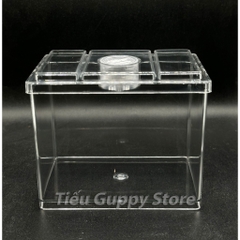 Khay Nhựa Mica nuôi Cá Betta, Guppy, Cá Cảnh Nhỏ 8x12x10cm Sobo M-B03- Keo Betta Mini Chất Liệu nhựa trong suốt
